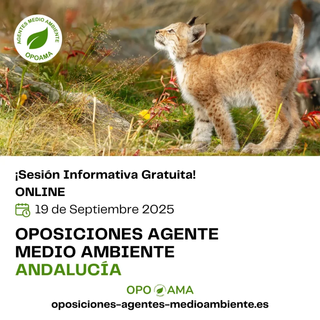 Sesión Informativa Septiembre 2025 FB Post Cuadrado mia