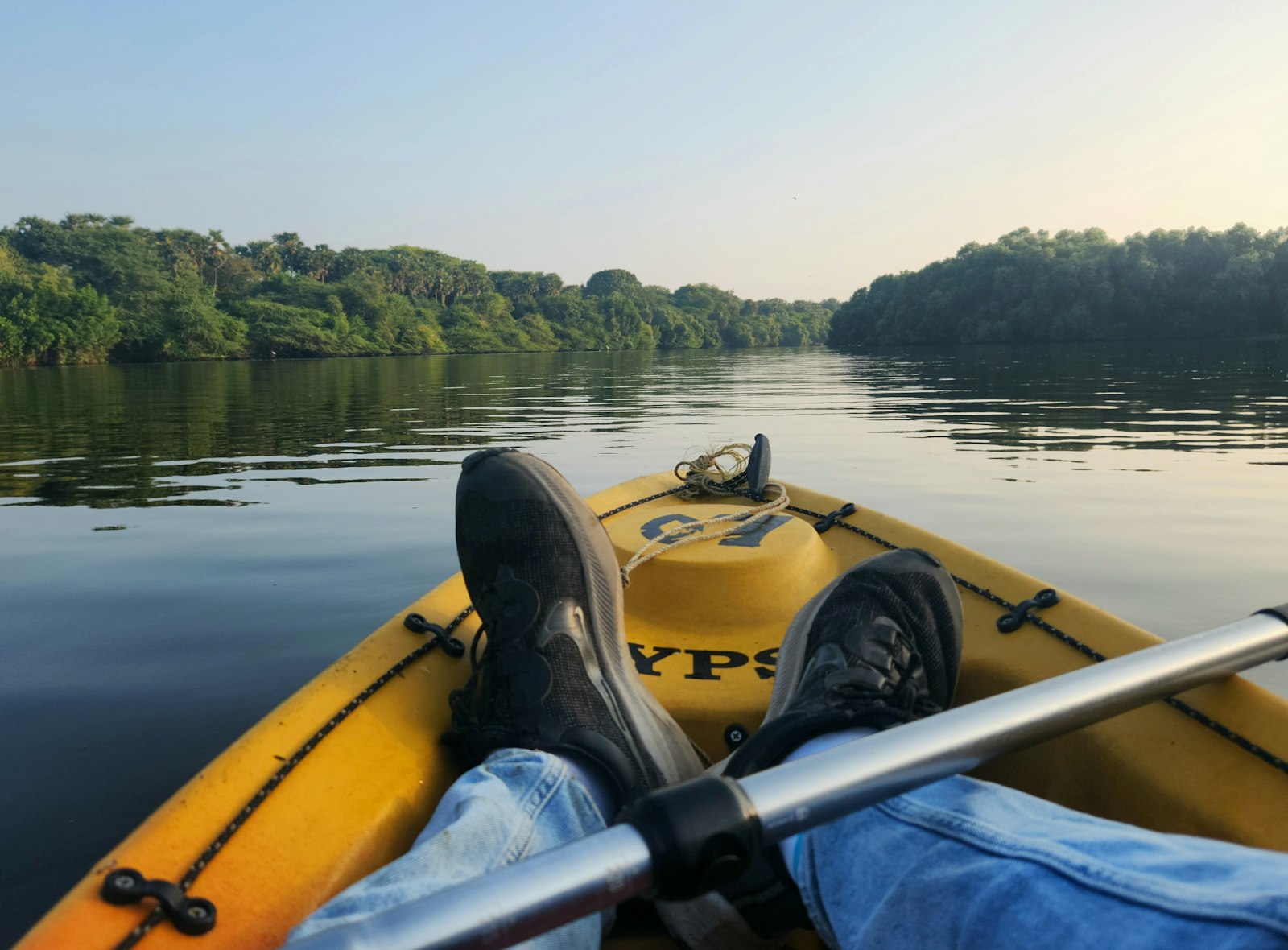 Persona navegando en kayak por aguas tranquilas rodeadas de vegetación
