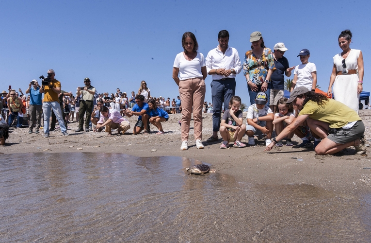 Suelta de tortugas bobas en una playa del litoral andaluz